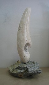 Socha - nos - 154428