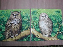 Papier - 2x- SOVY - 157528